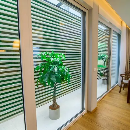 Glamorous Dubrovnik 5 Bedrooms Stikovica Earth Stunning Sea Views Private Pool Stikovica